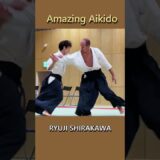 Amazing Aikido × Jujitsu MIX