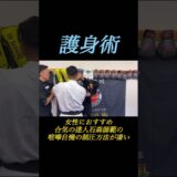 【合気の達人】喧嘩自慢を倒す護身術が凄すぎた