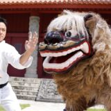 Okinawa Karate and Lion dance! Look at the amazing physical manipulation!