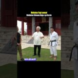 The Difference Between a Match and a Real Fight / Okinawa Karate Master’s Statement #karate
