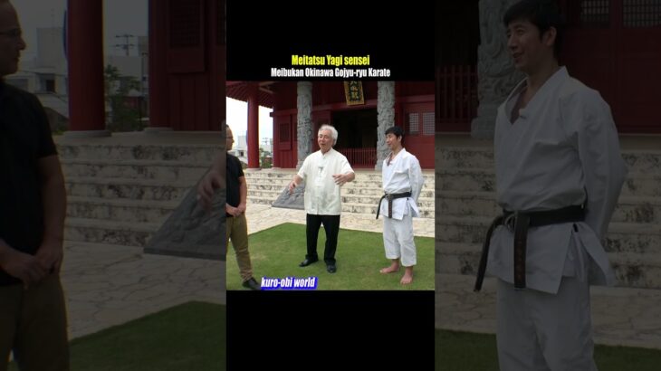 The Difference Between a Match and a Real Fight / Okinawa Karate Master’s Statement #karate