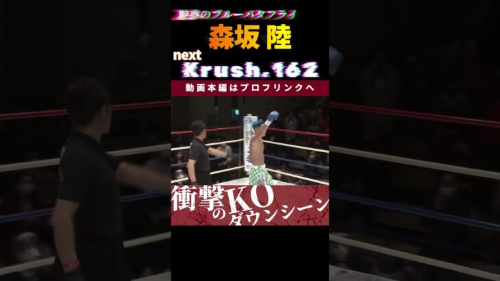 【Krush.162】魅惑のブルーバタフライ・森坂 陸。圧巻のバックブロー一閃！　Krush.162 6.23後楽園大会チケット好評発売中！