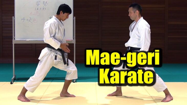 【Karate】How to hit “Mae-geri” (Front kick)  from any distance【Tatsuya Naka】