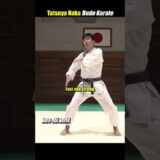 It’s fast even though it doesn’t move! Why? 【Tatsuya Naka’s Budo Karate】