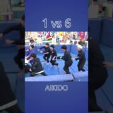 Aikido Master in 6 vs 1 Fight