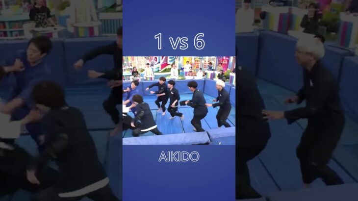 Aikido Master in 6 vs 1 Fight