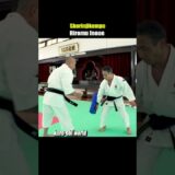 Catch the Low kick! Shorinjikempo