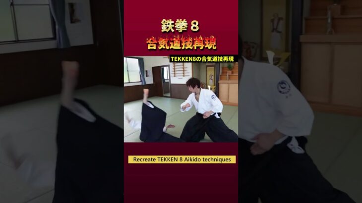 Perfect recreation of “TEKKEN8” Aikido technique
