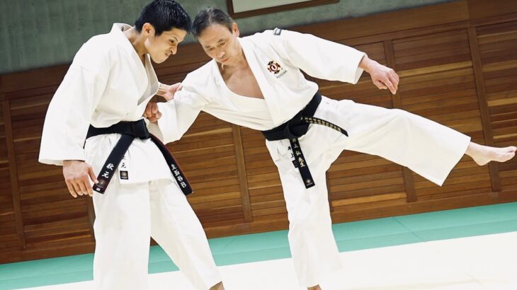 Collapsed body position produces a powerful blow! 【Shorinji Kempo】