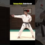 【Karate】Amazingly fast! But your body doesn’t move at all.