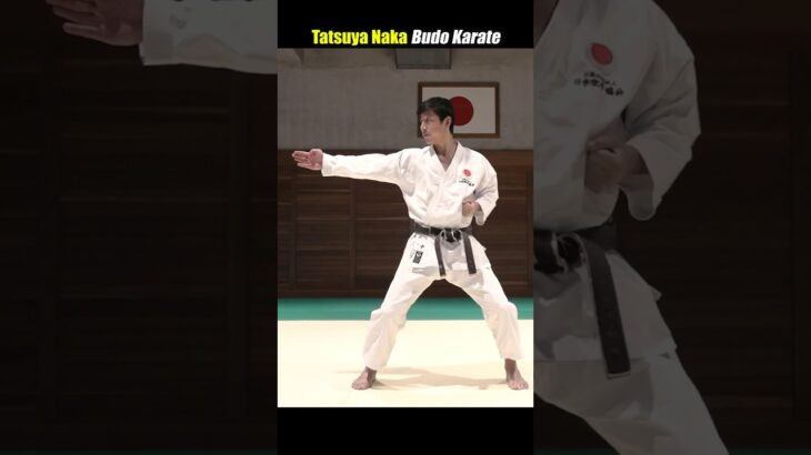 【Karate】Amazingly fast! But your body doesn’t move at all.