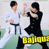 How to use elbow against punches 【Bajiquan】