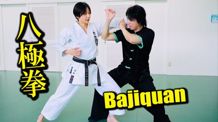 How to use elbow against punches 【Bajiquan】