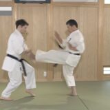 剛柔流・佐藤哲治先生【鶴破の分解組手】型の攻防を相対で学ぶ  GOJYU RYU “BUNKAI KUMITE” BY SEIKICHI TOGUCHI VOL.2 #2