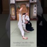 Amazing Aikido