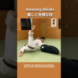 Beautiful and Dangerous Aikido