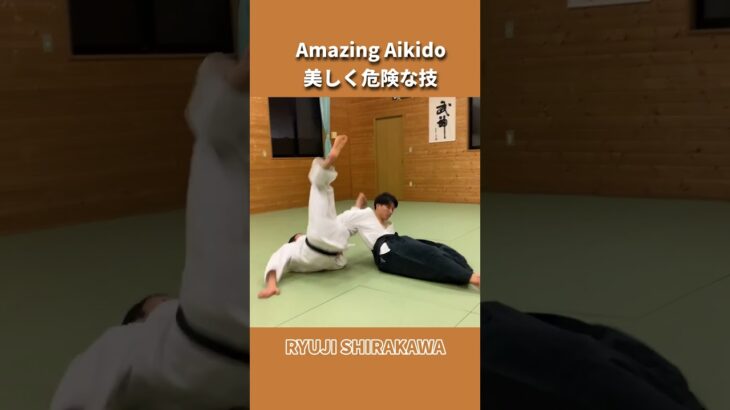 Beautiful and Dangerous Aikido