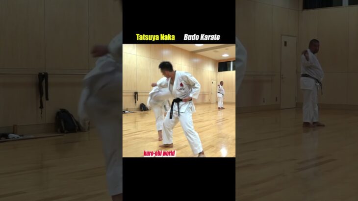 Block and kick at the same time! from Kata