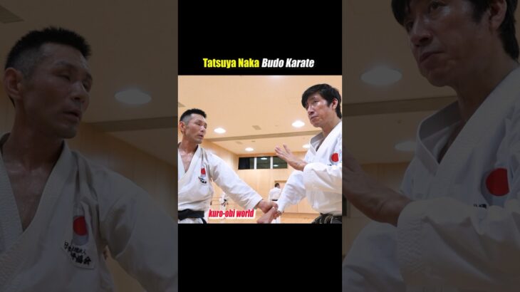 The definition of speed changes!The Kata Movement in Karate