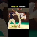 Vertical and lateral three-dimensional attack in Karate