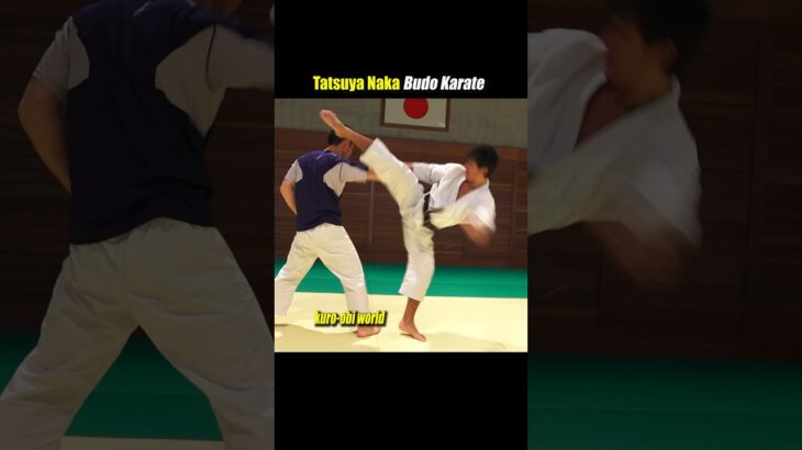 Vertical and lateral three-dimensional attack in Karate