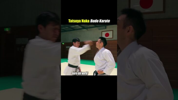 Weapons and karate, common actions