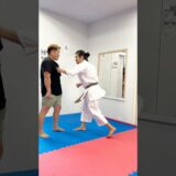 空手家を怒らせると。。karate