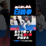 【白鶴拳】浅井家に伝わる武道が深すぎる #古コン #浅井空手#ほしみん#白鶴拳