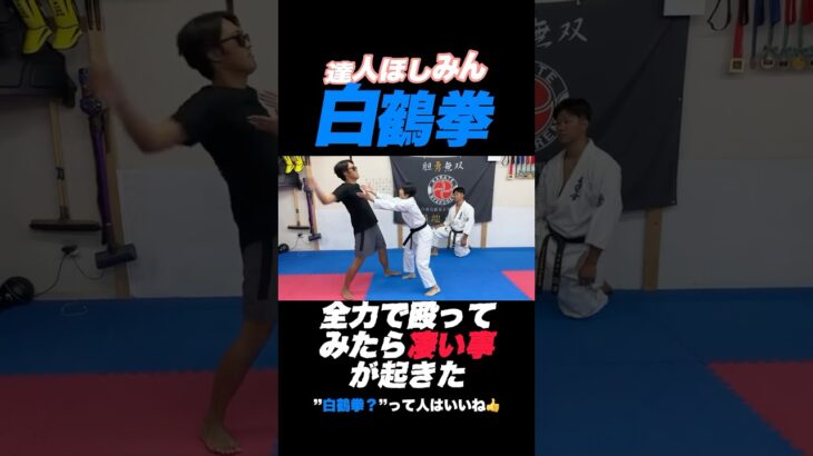 【白鶴拳】浅井家に伝わる武道が深すぎる #古コン #浅井空手#ほしみん#白鶴拳