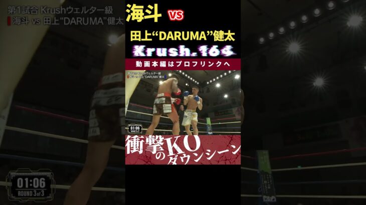 倒し倒され最後には…！【Krush.164】【迅速の蹴獣】海斗 vs 田上“DARUMA”健太　次回、Krush.165 9.28後楽園大会チケット好評発売中！