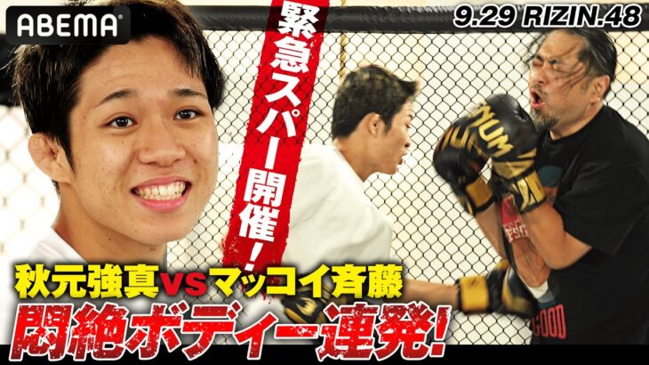 突撃！マッコイ斉藤vs秋元強真　緊急スパーでマッコイ崩壊！？秋元強真18歳の強気あふれる「金太郎相手にならない」｜RIZIN.48 ABEMA PPVで生中継