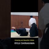 Amazing and Beautiful Aikido