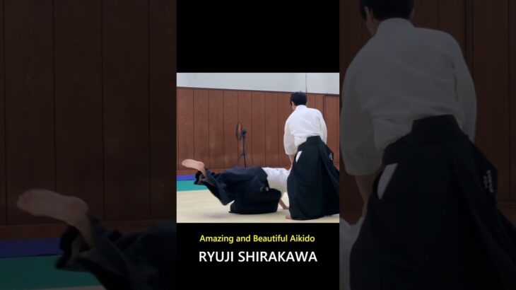 Amazing and Beautiful Aikido