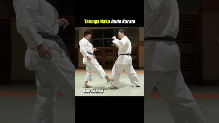 Attacks your shin with a kick! Intense technique of traditional karate.