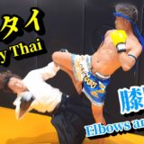 Danger! Sharp elbow and knee kicks in Muay Thai