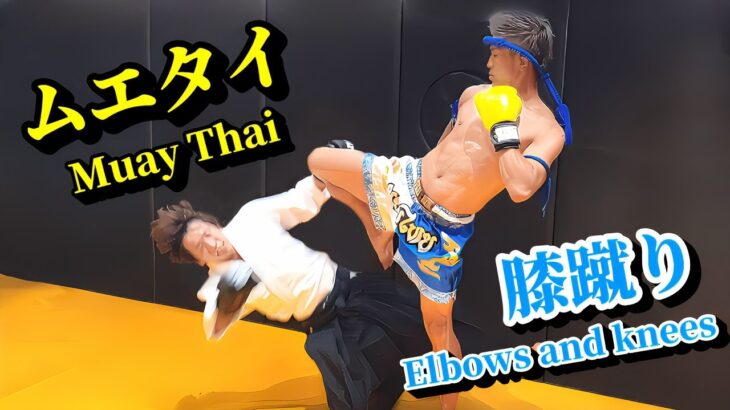 Danger! Sharp elbow and knee kicks in Muay Thai