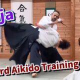 Ninja master does hard Aikido training