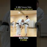 Practical use of karate kata!