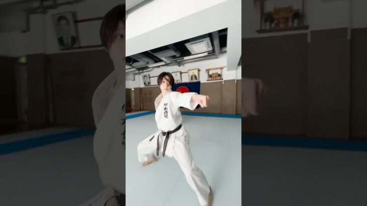 The beautiful and precise movements of karate