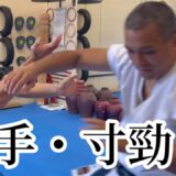 【詠春拳/黐手・寸勁 】過去から受け継がれる武術の伝承とは…