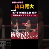 【最強の侵略者】山口 翔大　next.K-1 WORLD GP 2024  vsエロール・ジマーマン！　K-1 WORLD GP 2024 10.5大阪大会 チケット好評発売中！