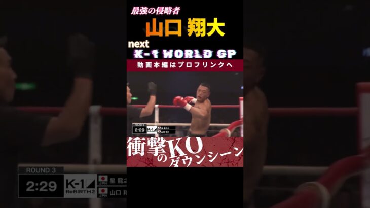 【最強の侵略者】山口 翔大　next.K-1 WORLD GP 2024  vsエロール・ジマーマン！　K-1 WORLD GP 2024 10.5大阪大会 チケット好評発売中！