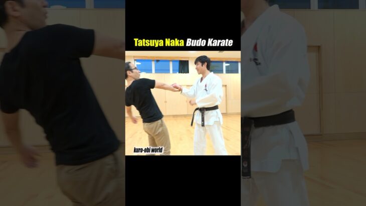 Can you believe it? Your body can be easily controlled with one hand!【Karate】