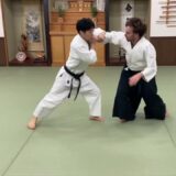 Aikido Joint technique and Flying armbar