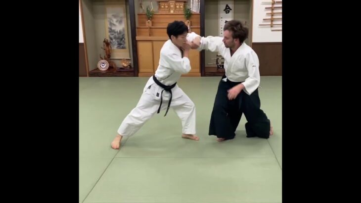 Aikido Joint technique and Flying armbar