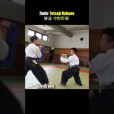 Kick like a falling tree! How to kick Manji-geri in Taido