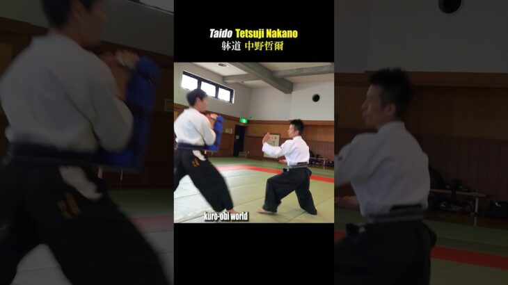 Kick like a falling tree! How to kick Manji-geri in Taido