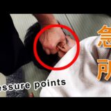 Ninja pressure points techniques to suppress an aikido master