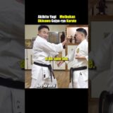 Okinawa Karate, Block and Attack Training!