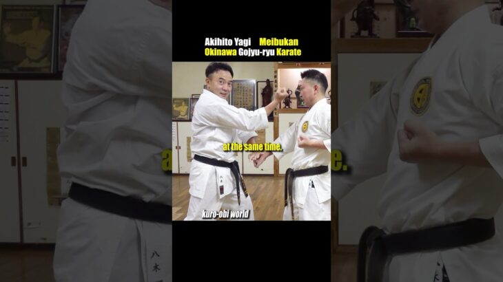 Okinawa Karate, Block and Attack Training!